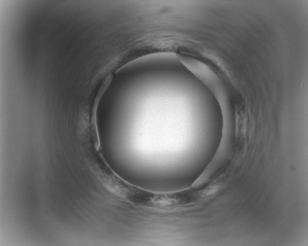 X0000070390407200606091156