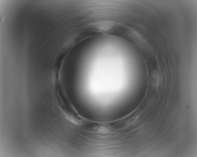 X0000070390412200606091156
