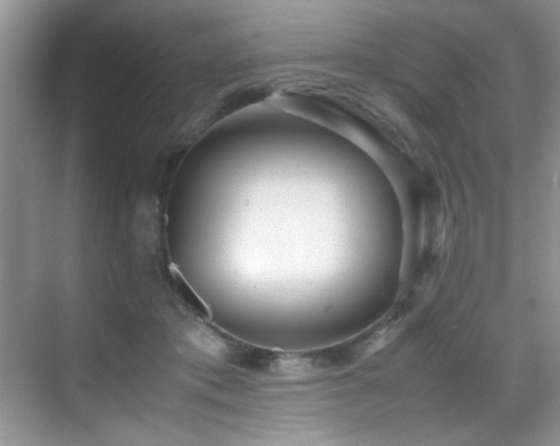 X0000070390413200606091156