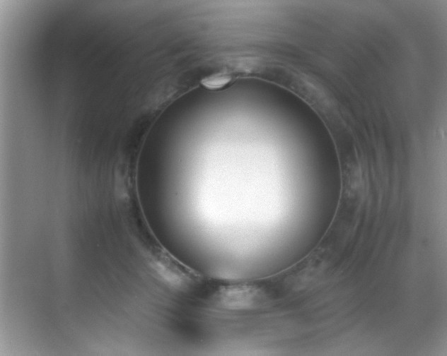 X0000070390414200606091156