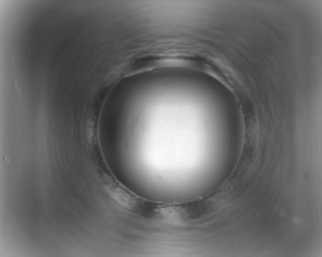 X0000070390417200606091156