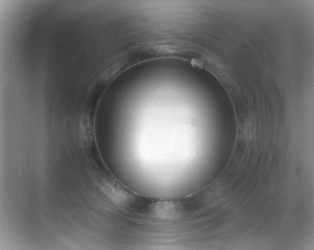 X0000070390418200606091156