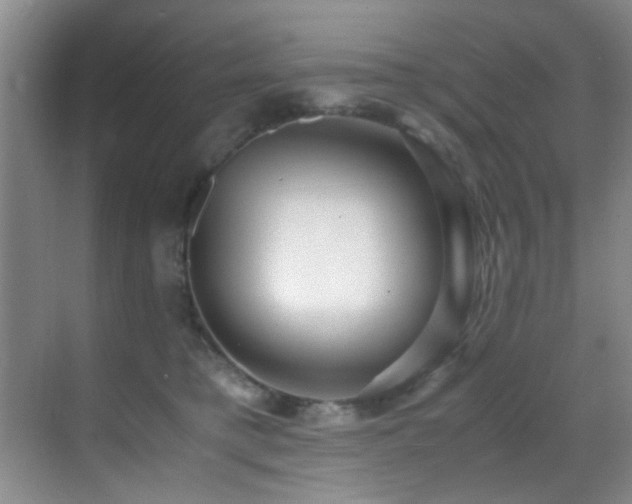 X0000070390421200606091156
