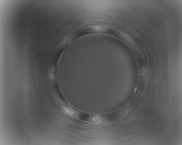 X0000070390423200606091156