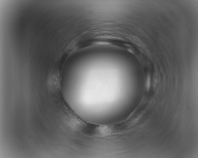 X0000070390425200606091156