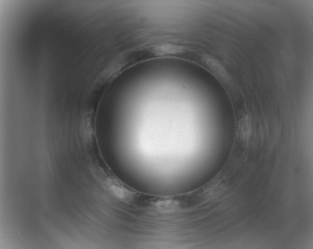 X0000070390426200606091156