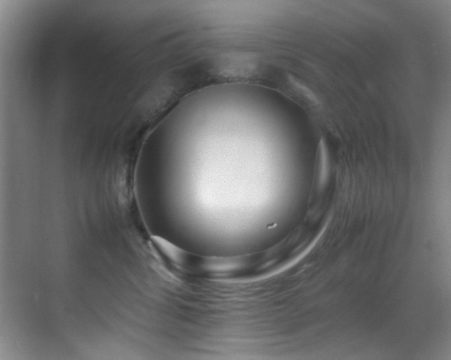 X0000070390428200606091156