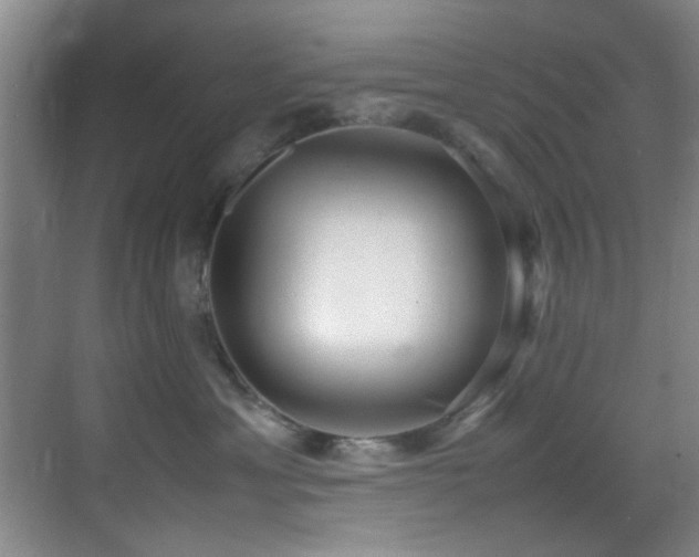 X0000070390429200606091156