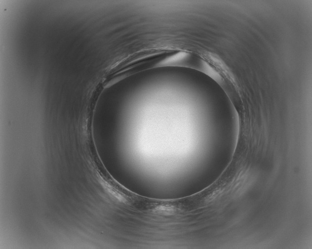 X0000070390441200606091155