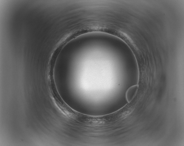 X0000070390443200606091155