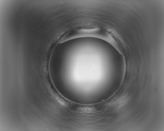 X0000070390449200606091155