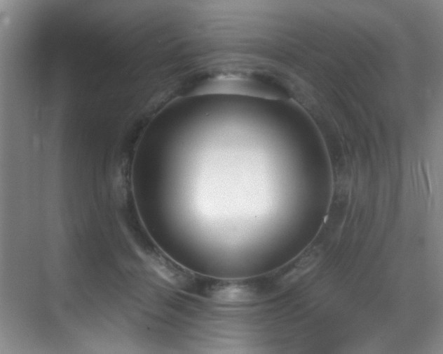 X0000070390460200606091156