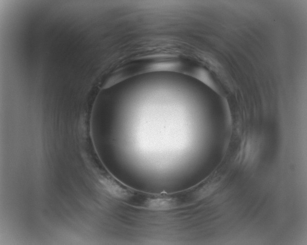 X0000070390461200606091156