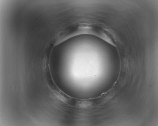 X0000070390463200606091156