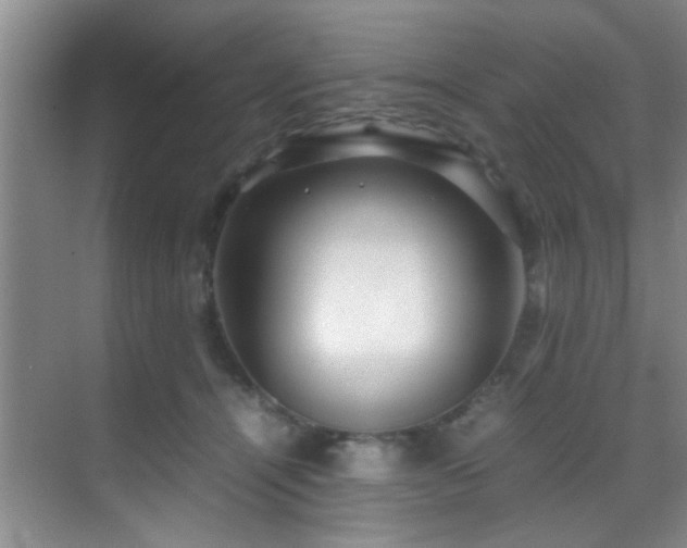 X0000070390464200606091156