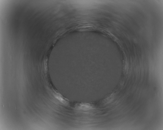 X0000070390475200606091156