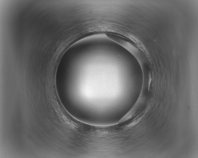 X0000070390481200606091155
