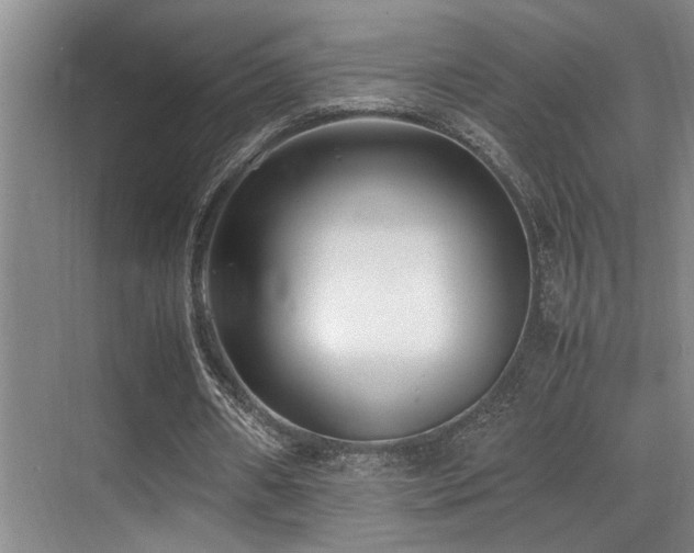 X0000070390482200606091155