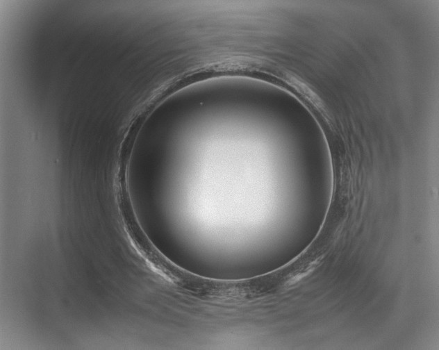X0000070390485200606091155