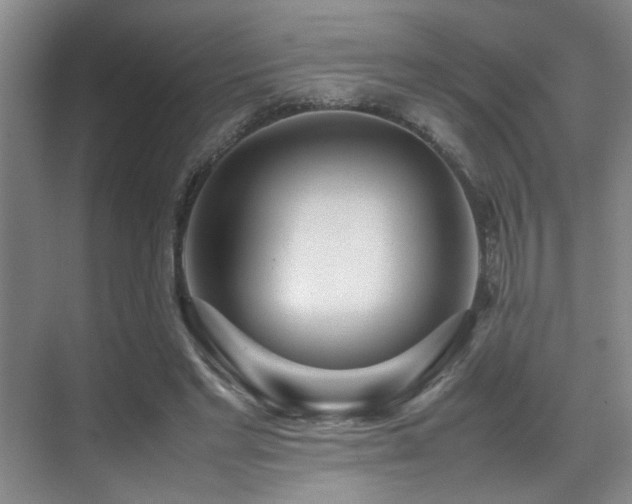 X0000070390493200606091155