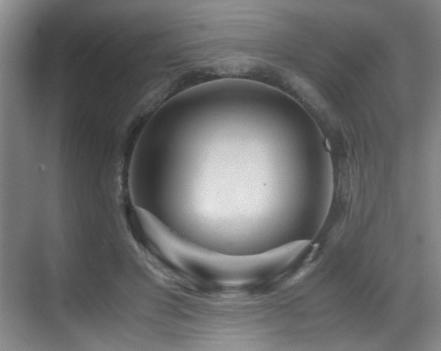 X0000070390501200606091155