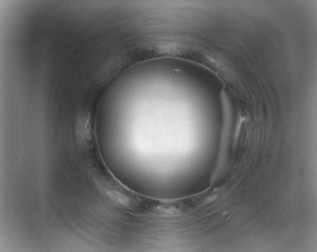X0000070390502200606091155