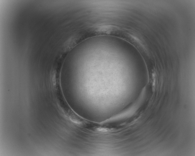 X0000070390504200606091155