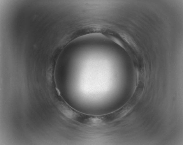 X0000070390509200606091155