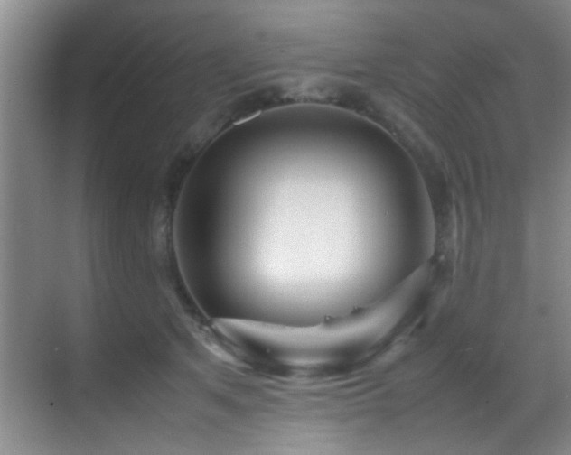 X0000070390513200606091155