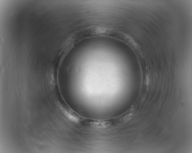 X0000070390524200606091154