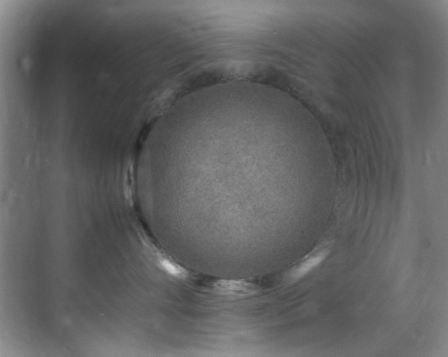 X0000070390528200606091154