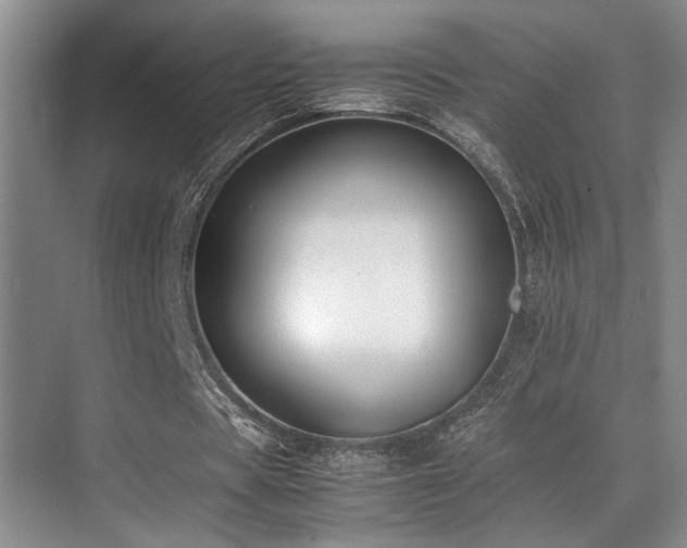 X0000070390529200606091154