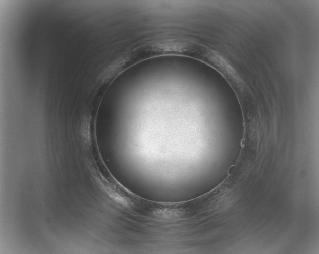 X0000070390537200606091154