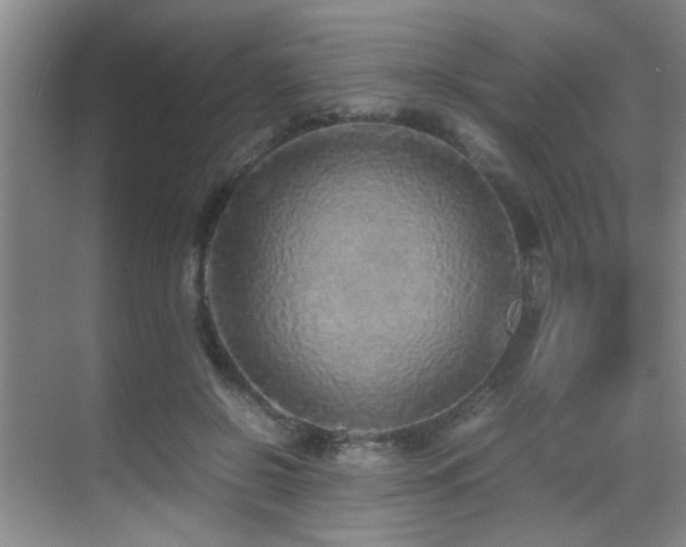 X0000070390550200606091154