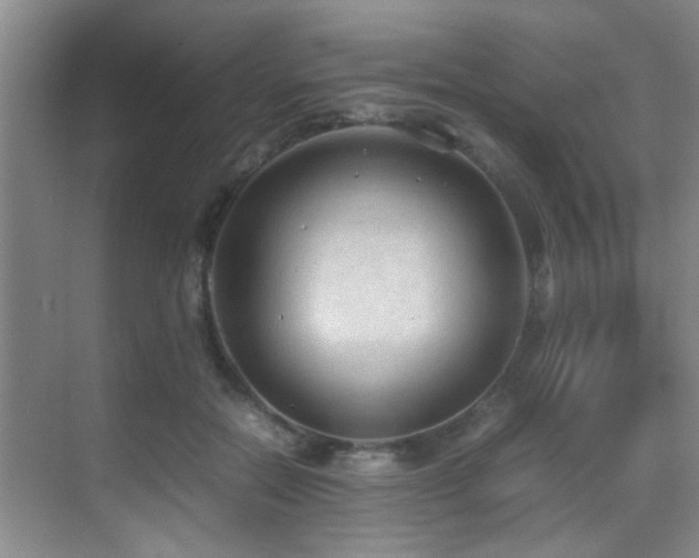 X0000070390554200606091154