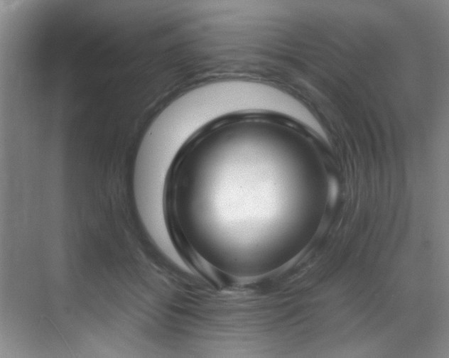 X0000070390556200606091154