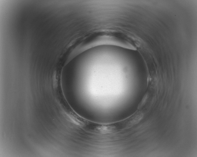 X0000070390558200606091154