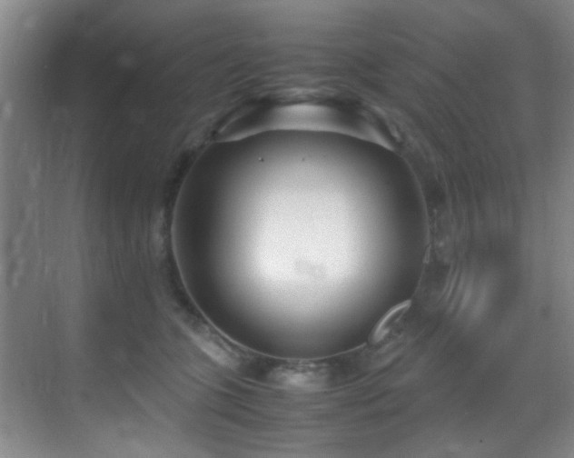 X0000070390563200606091154