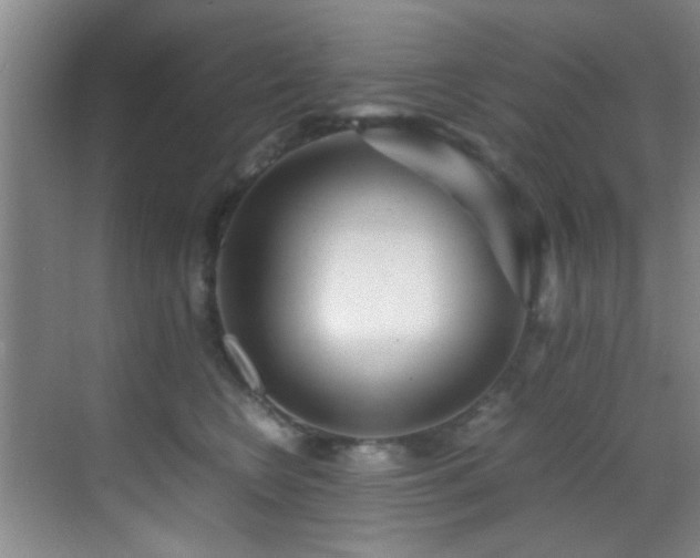 X0000070390566200606091154