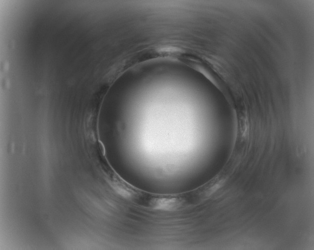 X0000070390575200606091154