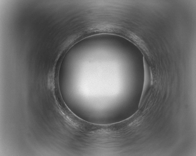 X0000070390578200606091154