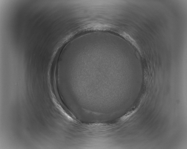 X0000070390581200606091154