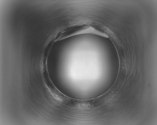 X0000070390586200606091153