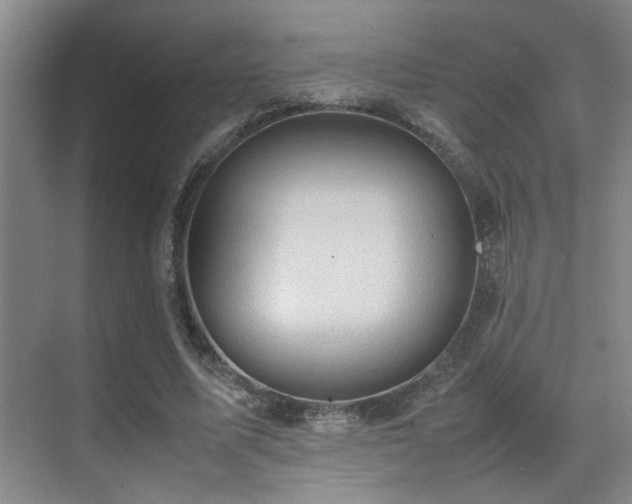 X0000070390587200606091153