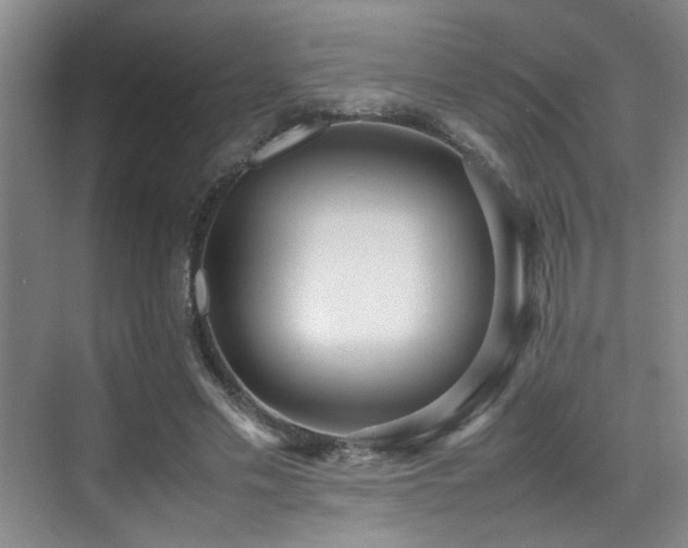 X0000070390589200606091153