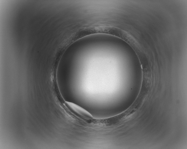 X0000070390593200606091153