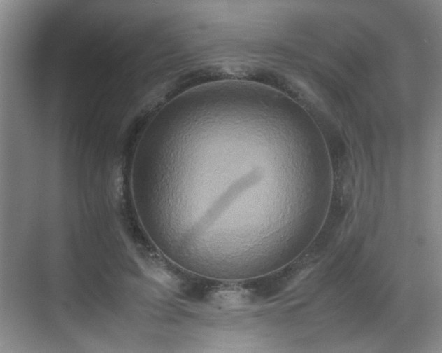 X0000070390595200606091153