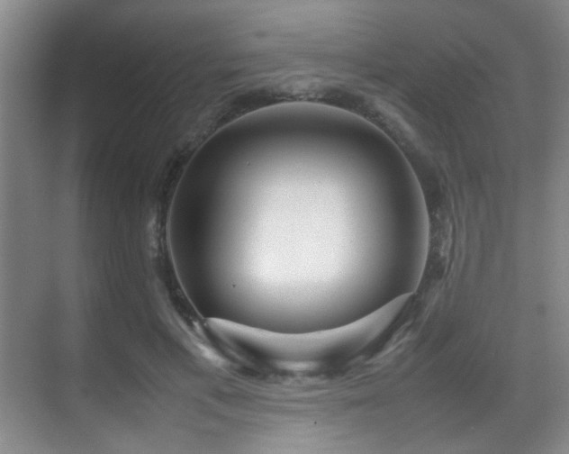X0000070390597200606091153