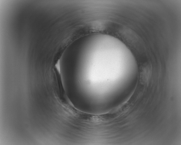X0000070390608200606091153