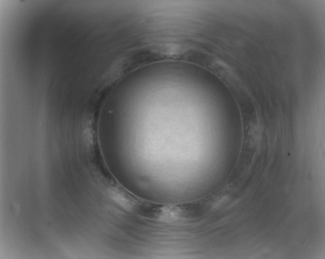 X0000070390612200606091153